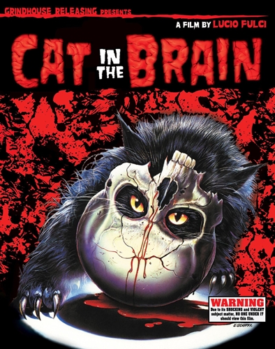 Picture of CAT IN THE BRAIN