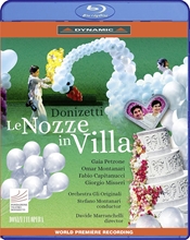 Picture of LE NOZZE IN VILLA