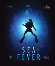 Picture of SEA FEVER