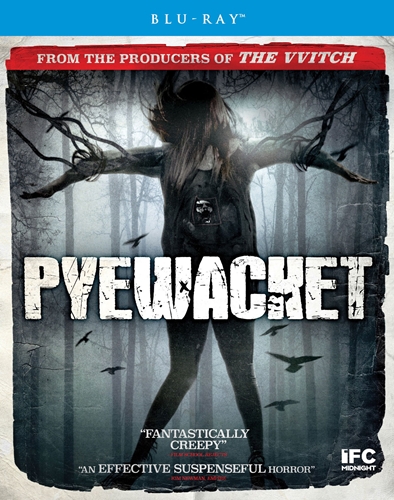 Picture of PYEWACKET