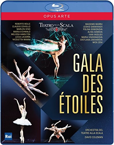 Picture of GALA DES ETOILES