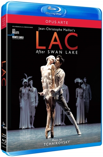 Picture of SWAN LAKE