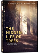 Picture of HIDDEN LIFE OF TREES