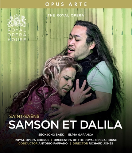 Picture of SAMSON ET DALILA