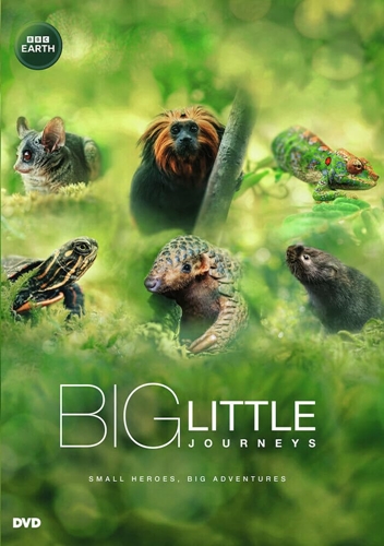 Picture of BIG LITTLE JOURNEYS