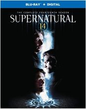 Picture of SUPERNATURAL: COMPLETE FOURTEENTH SEASON