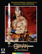 Picture of CONAN THE DESTROYER