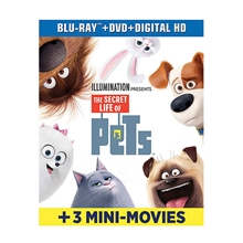 Picture of SECRET LIFE OF PETS