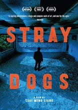 Picture of STRAY DOGS (2013)