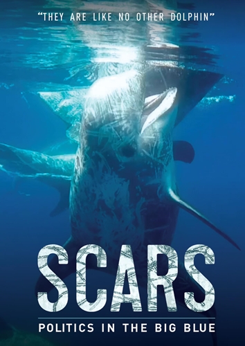 Picture of SCARS