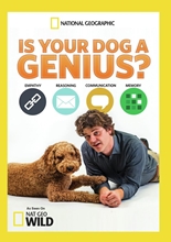 Picture of IS YOUR DOG A GENIUS?