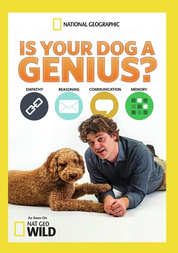 Picture of IS YOUR DOG A GENIUS?