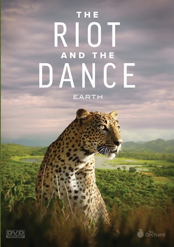 Picture of RIOT & THE DANCE: EARTH