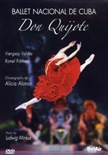 Picture of DON QUIXOTE