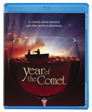 Picture of YEAR OF THE COMET