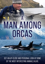 Picture of A Man Among Orcas