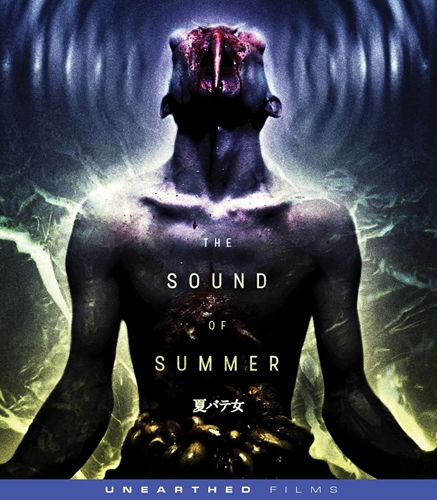 Picture of SOUND OF SUMMER