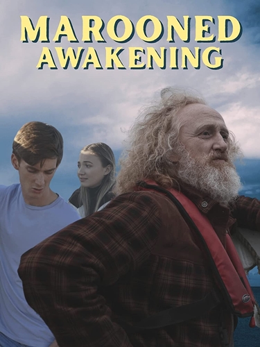 Picture of MAROONED AWAKENING