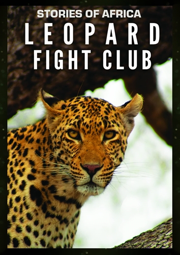 Picture of Stories Of Africa: Leopard Fight Club