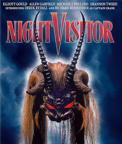 Picture of NIGHT VISITOR