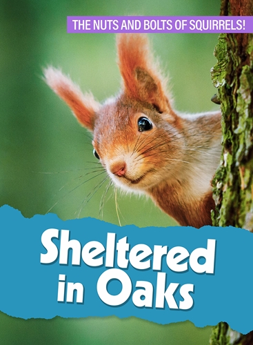 Picture of SHELTERED IN OAKS