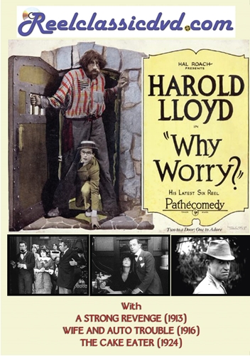 Picture of WHY WORRY? (1923)