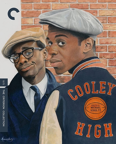 Picture of COOLEY HIGH/BD