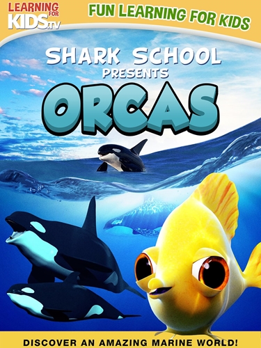 Picture of SHARK SCHOOL: ORCAS