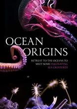 Picture of Ocean Origins