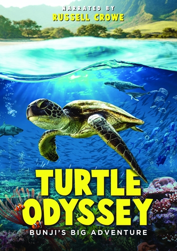 Picture of Turtle Odyssey