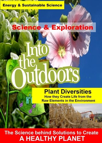 Picture of PLANT DIVERSITIES - HOW THEY CREATE LIFE FROM THE