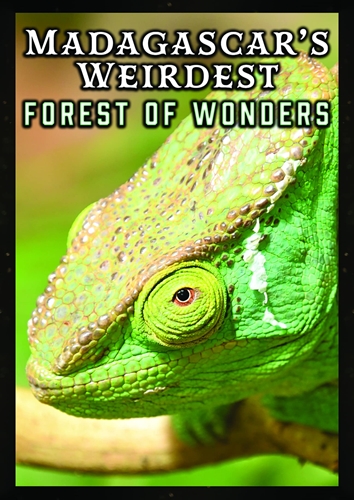 Picture of Madagascar's Weirdest: Forests Of Wonders