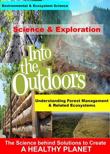 Picture of UNDERSTANDING FOREST MANAGEMENT & RELATED ECOSYSTE