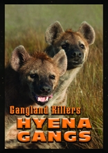 Picture of Gangland Killers: Hyena Gangs