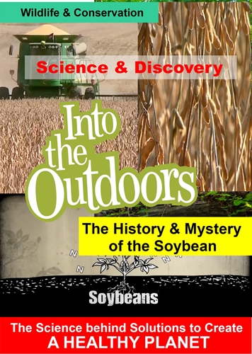 Picture of HISTORY & MYSTERY OF THE SOYBEAN