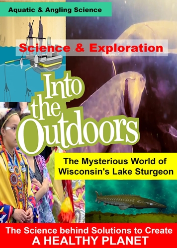 Picture of MYSTERIOUS WORLD OF WISCONSIN'S LAKE STURGEON