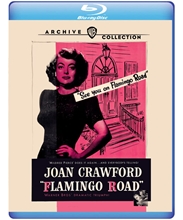 Picture of FLAMINGO ROAD