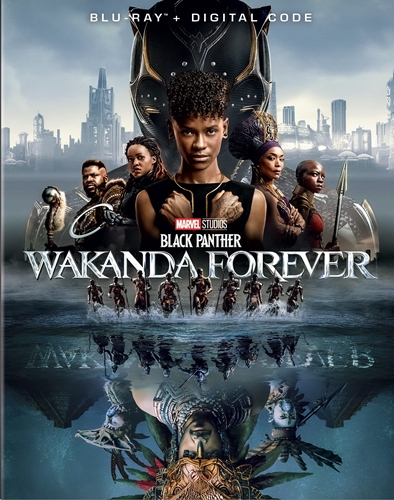 Picture of BLACK PANTHER: WAKANDA FOREVER