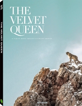 Picture of VELVET QUEEN