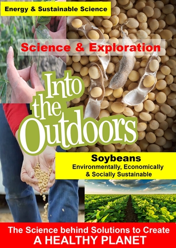 Picture of SOYBEANS - ENVIRONMENTALLY, ECONOMICALLY & SOCIALL