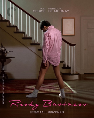 Picture of RISKY BUSINESS