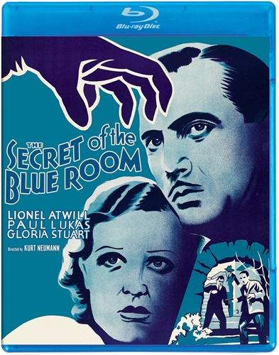 Picture of SECRET OF BLUE ROOM (1933)