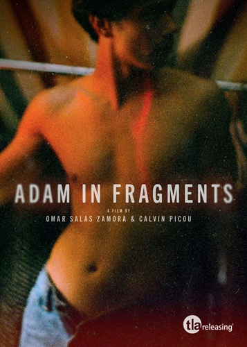 Picture of ADAM IN FRAGMENTS