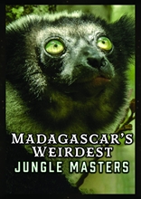 Picture of Madagascar's Weirdest: Jungle Masters