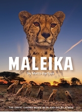 Picture of MALEIKA