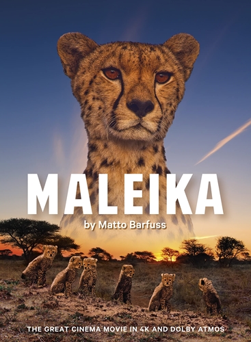 Picture of MALEIKA