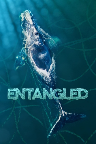 Picture of ENTANGLED