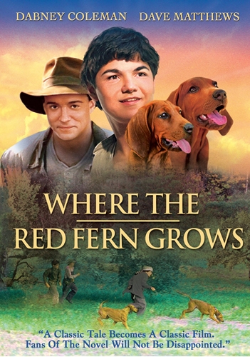 Picture of WHERE THE RED FERN GROWS