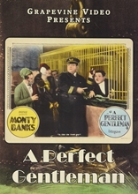 Picture of PERFECT GENTLEMAN (1928)