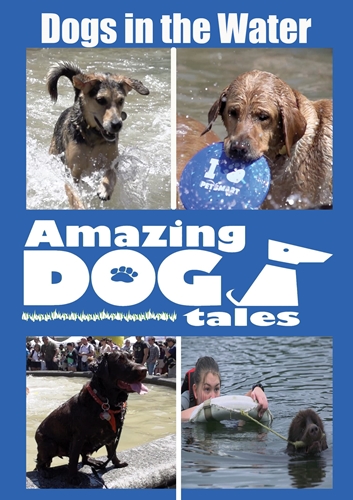 Picture of AMAZING DOG TALES - DOGS IN THE WATER